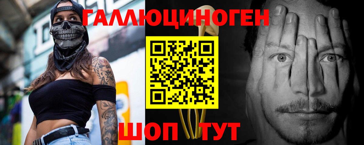 Галлюциногенные грибы Psilocybine cubensis Михайловск